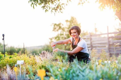 Gardening pricing and quote information for Dollis Hill