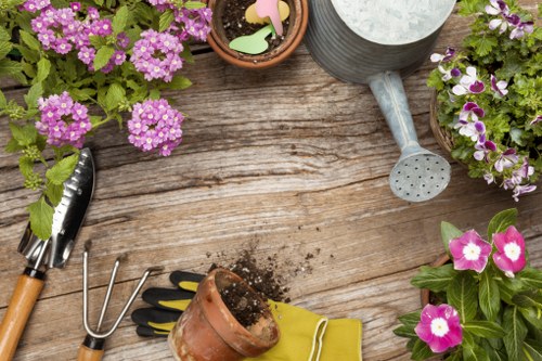 Gardening services in Dollis Hill for tidy and healthy outdoor spaces