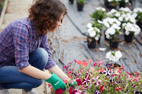 Gardeners Dollis Hill team introducing local outdoor care