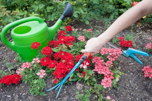 Mid-year garden maintenance in Dollis Hill with healthy greenery
