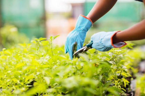 Essential cookie information for Gardeners Dollis Hill