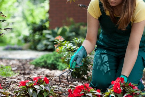 Garden safety procedures during a maintenance job