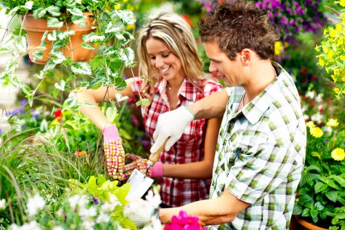 Insured gardening team completing outdoor maintenance in Dollis Hill