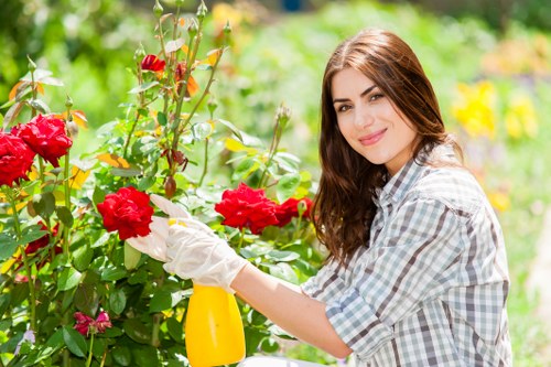 Example garden jobs and transparent estimates in Dollis Hill