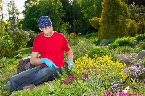 Patio and planting design for landscape gardening in Dollis Hill