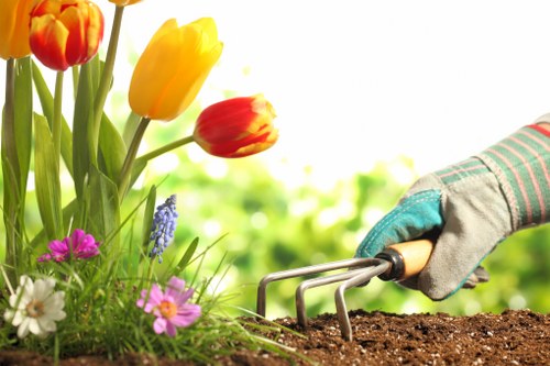 Professional gardener following a health and safety policy