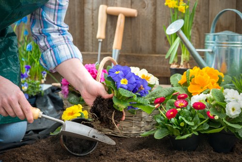 Seasonal garden care in Dollis Hill with plants and lawn upkeep