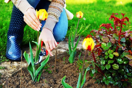 Final garden transformation in Dollis Hill with fresh planting