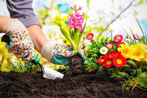Dollis Hill garden design with pathways, shrubs, and lawn space