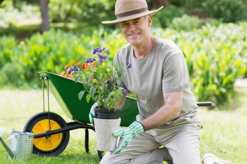Professional lawn maintenance improving a Dollis Hill garden