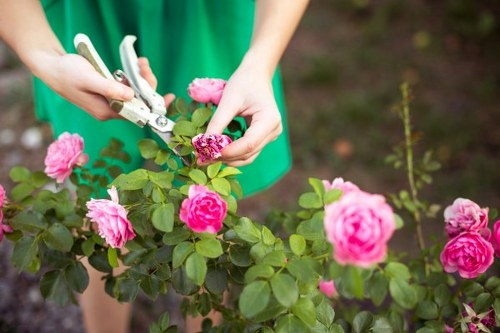 Clear and fair Gardeners Dollis Hill pricing model
