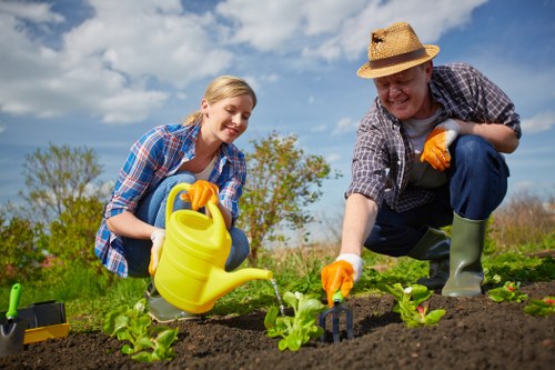 Professional garden maintenance in Dollis Hill for healthy outdoor spaces