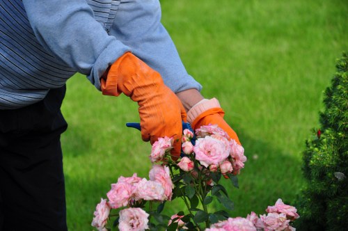 Moss and weed treatment on a Dollis Hill lawn