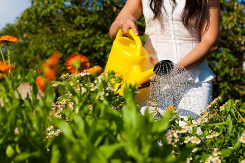 Local gardeners improving a residential garden in Dollis Hill