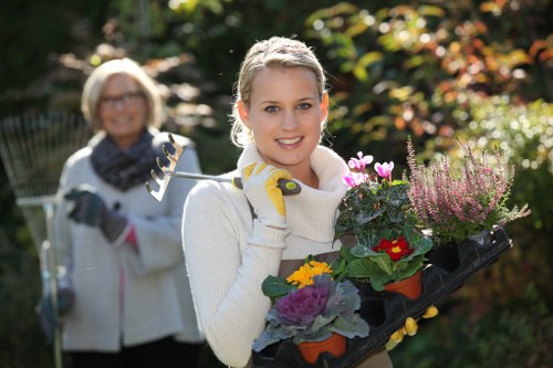 Seasonal planting and lawn care by Dollis Hill gardeners