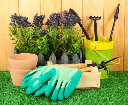 Professional tree cutting service for a property in Dollis Hill