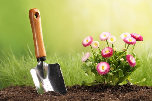 Modern landscape gardening features for a Dollis Hill home