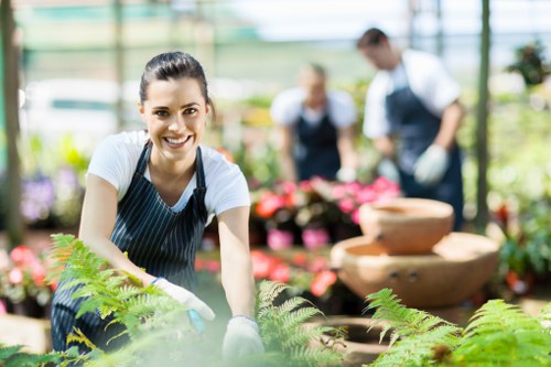 Illustration representing inclusive local gardening access