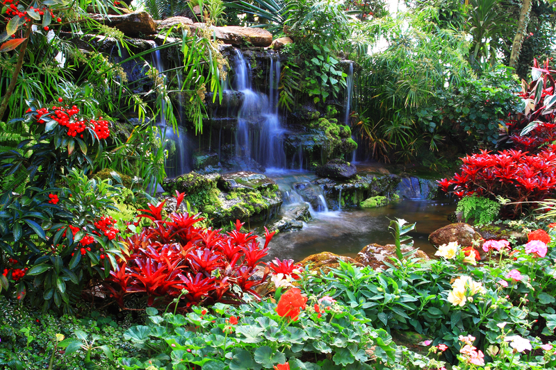 garden landscaping garden design